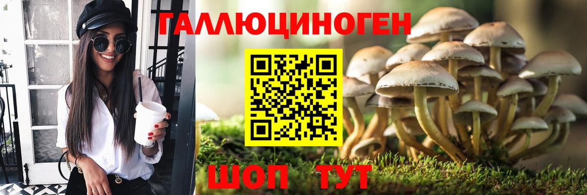 Псилоцибиновые грибы GOLDEN TEACHER Лениногорск